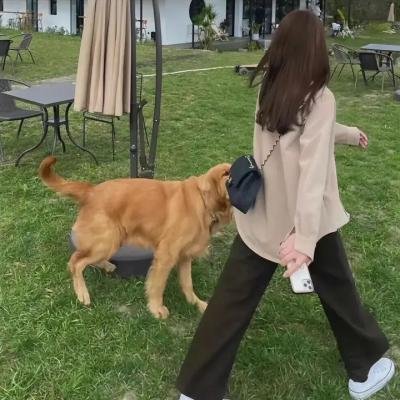 仙乐飘飘