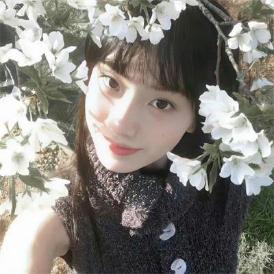 新霍士歌舞团