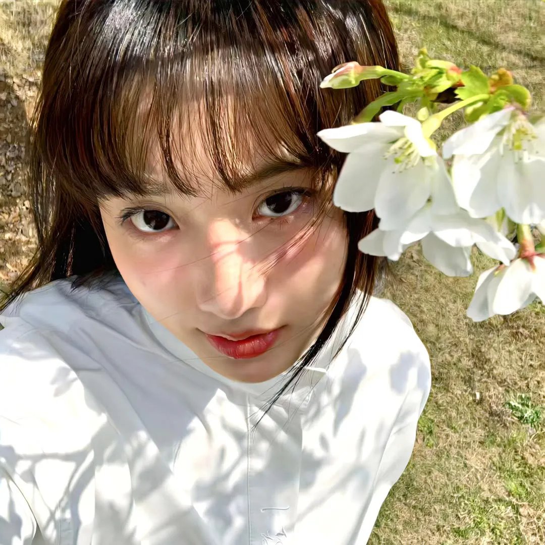 抓啄木鸟
